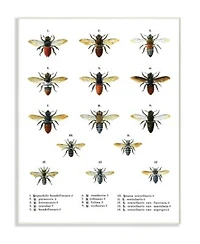 Stupell Industries Bees Scientific Vintage Inspired Illustration Art Collection