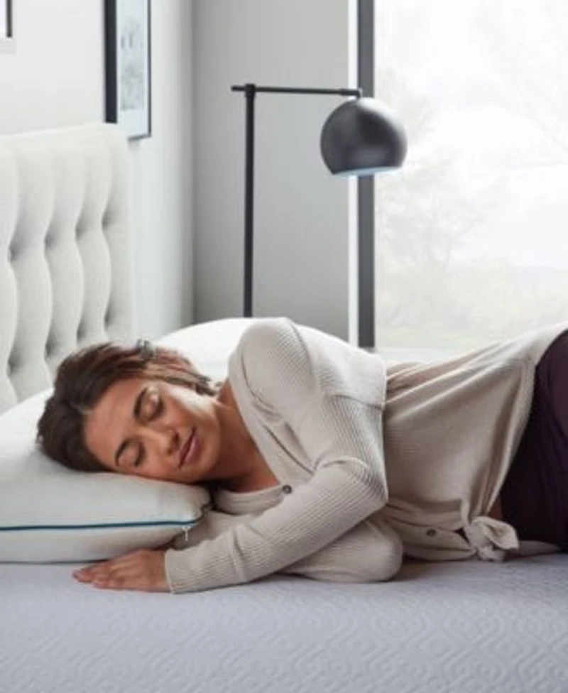 Lucid Dream Collection Shredded Memory Foam 2 Pack Pillows