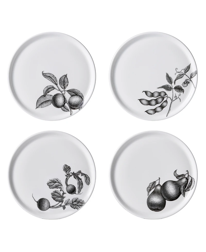 Twig New York Olive Market 6" Bread Plates - Set of 4