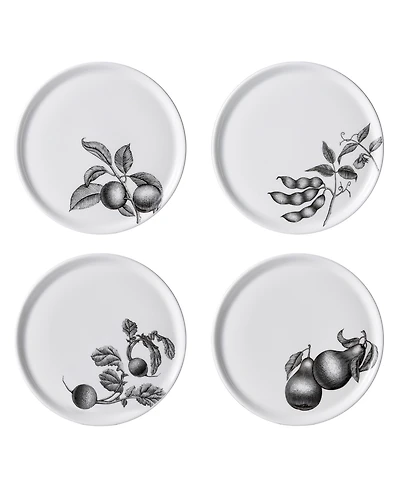 Twig New York Olive Market 6" Bread Plates - Set of 4