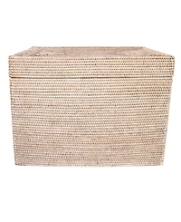 Artifacts Rattan Rectangular Hinged Chest/Trunk