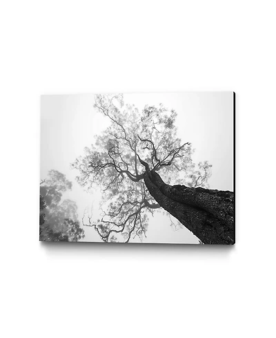 Giant Art 40" x 30" Robel - Between Heaven and Earth Museum Mounted Canvas Print