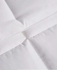 Royal Luxe White Goose Feather Down 240 Thread Count Comforters Exclusively At Macys