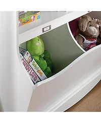 Sauder Pogo Bookcase/footboard