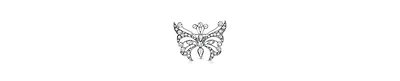 2028 Crystal Butterfly Brooch Pin