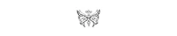 2028 Crystal Butterfly Brooch Pin