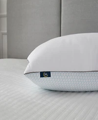 Serta Flipable Summer/Winter White Goose Feather 2-Pack Pillow, King
