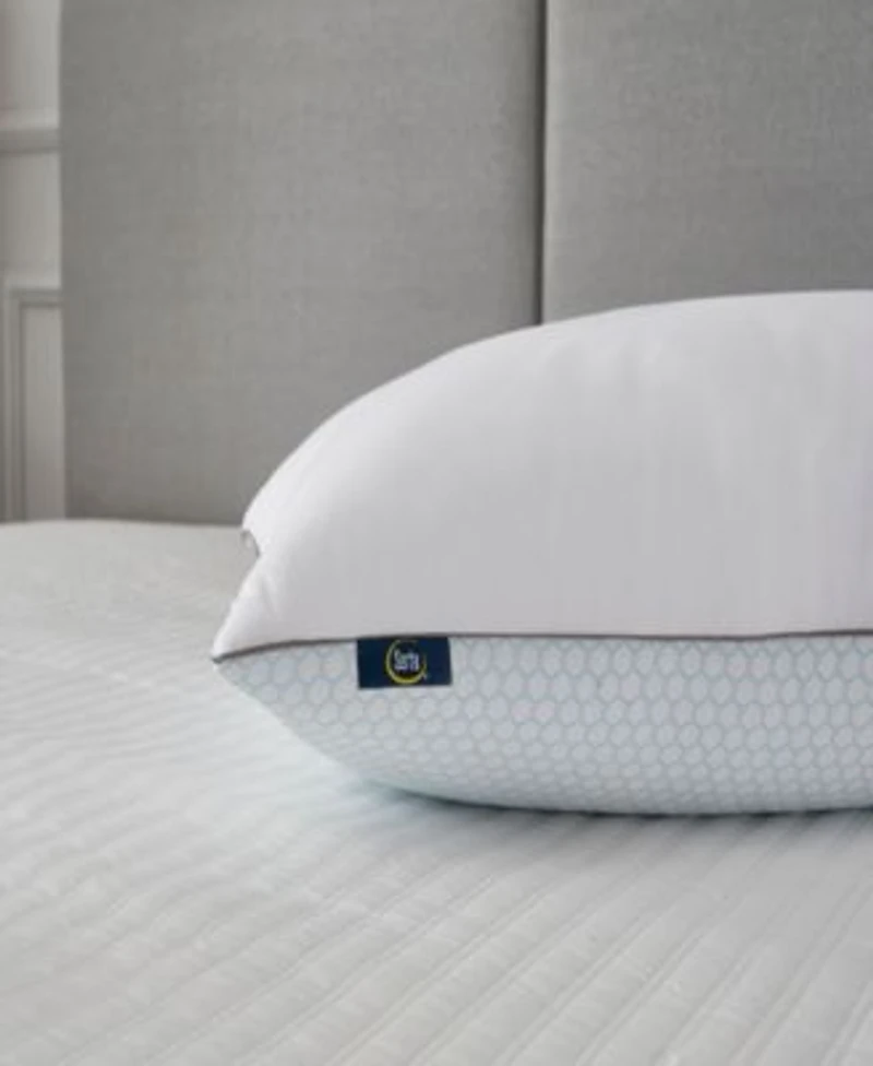 Serta Flipable Summer Winter White Goose Feather 2 Pack Pillows