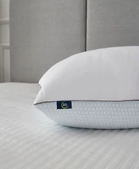 Serta Flipable Summer Winter White Goose Feather 2 Pack Pillows