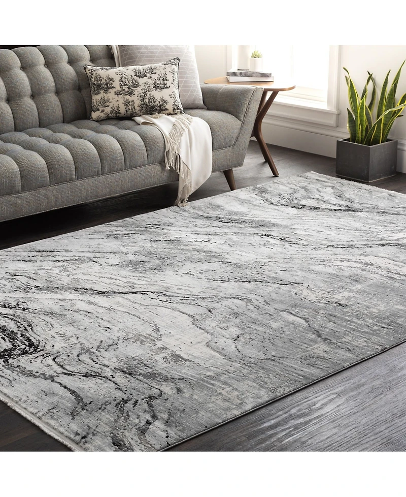 Surya Solar Sor-2309 Charcoal 3' x 8' Runner Area Rug