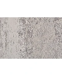 Feizy Cadiz R3888 Silver 2'2" x 3'2" Area Rug