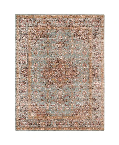 Amer Rugs Eternal Ete-30 Mint 5'7" x 7'6" Area Rug