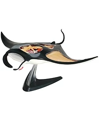 4D Master 4D Vision Manta Ray Anatomy Model