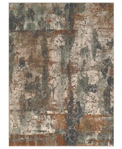 Closeout Karastan Elements Calliope Area Rug