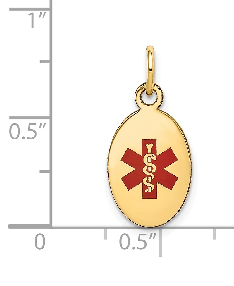 Medical Info Charm Pendant in 14k Gold