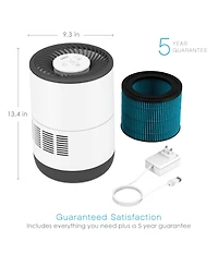 Pure Enrichment MistAire Eva 4-Speed Evaporative Humidifier