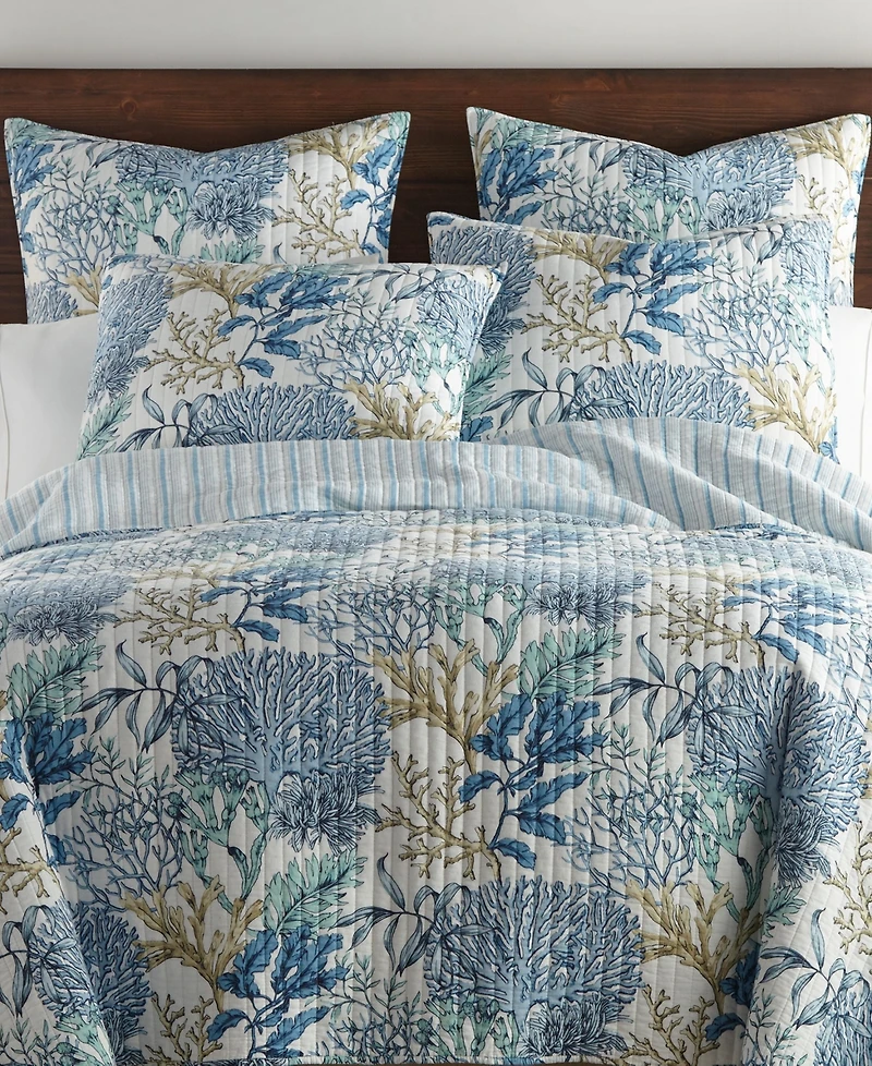 Levtex Mahina 3-Pc. Quilt Set, King