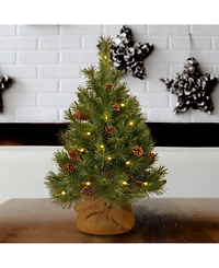 National Tree Company 3' Pine Cone Burlap Tree with 35 Warm White Battery Operated Led Lights w/ Timer