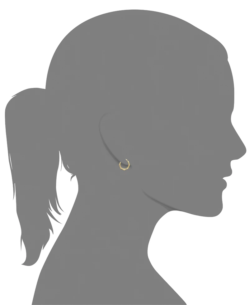 Hexagon Hoop Earrings in 10k Gold
