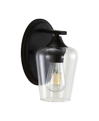 Jayne 1-Light Cottage Rustic Led Vanity Light