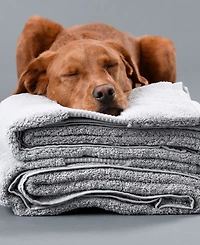 Delilah Home Kitchen Towels, Pack of 4