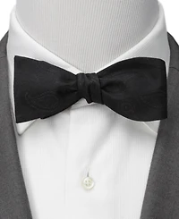 Star Wars Men's Darth Vader Paisley Bow Tie