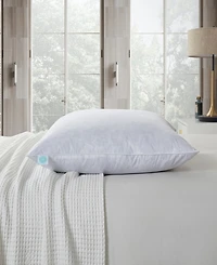 Martha Stewart Feather Firm 2-Pack Pillow, European