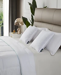Serta Feather Filled 2-Pack Pillow Inserts, 20" x 20"