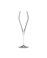Nude Glass Fantasy Champagne Glasses, Set of 2