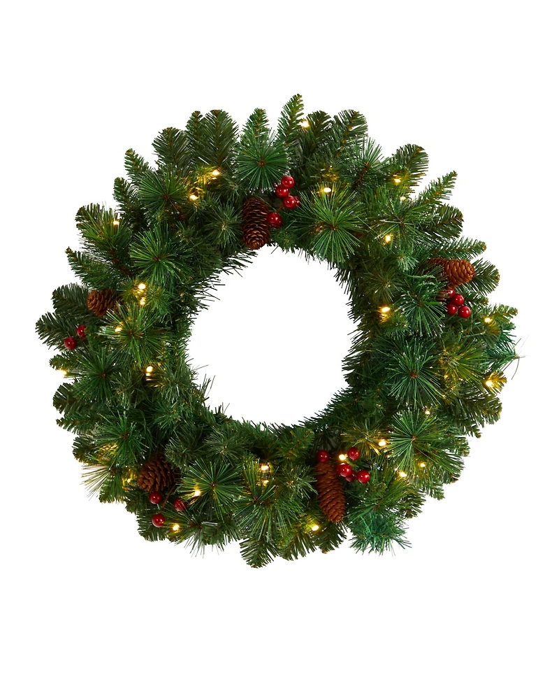 Frosted Pine Artificial Christmas Wreath with Pinecones, Berries and 35 Warm Led Lights, 20"