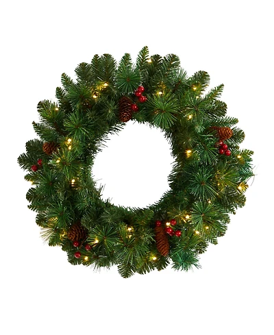 Frosted Pine Artificial Christmas Wreath with Pinecones, Berries and 35 Warm Led Lights, 20"