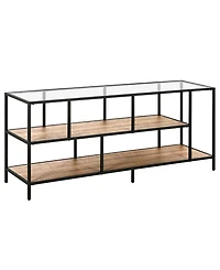 Winthrop 55" Tv Stand with Shelves