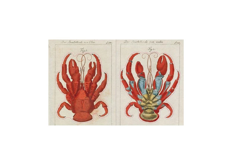 John Derian Sticker Book by John Derian