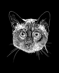 Men's Word Art Long Sleeve Siamese Cat T-shirt