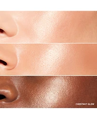Bobbi Brown Highlighter Powder