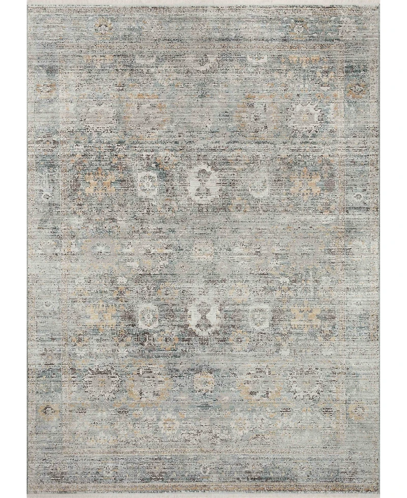 Loloi Bonney Bny-06 2' x 3' Area Rug