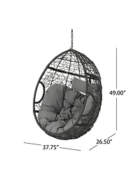 Kyle Indoor and Outdoor Hanging Basket Chair