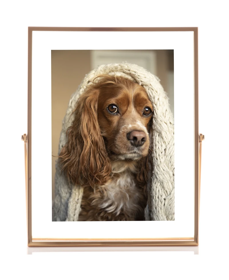 Lawrence Frames Metal Easel Float Picture Frame, 5" x 7"
