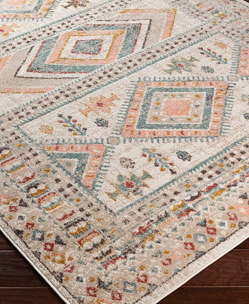 Livabliss Ankara Akr- 7'10" x 10'3" Area Rug