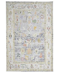 Amer Rugs Century Bay 5'3" x 7'3" Area Rug