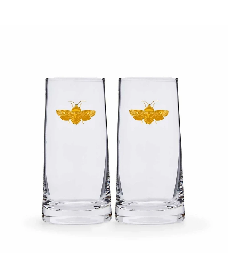 Spode Creatures of Curiosity Highball Glasses Set, 2 Pieces
