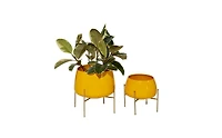 Metal Contemporary Planters with Stand, Set of 2