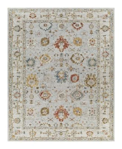 Livabliss Reina Ren 2307 Area Rugs