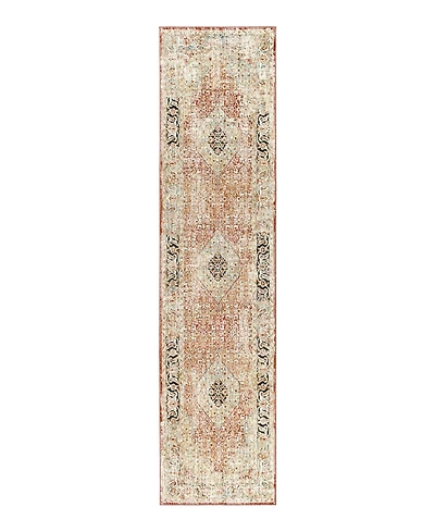 Livabliss Aspendos Aps- 2'7" x 10' Runner Area Rug