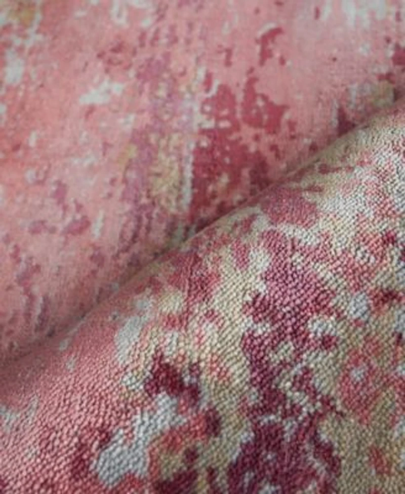 Exquisite Rugs Antolini Er2535 Area Rug
