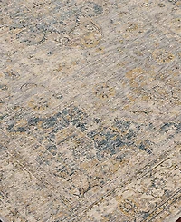 Livabliss Aspendos Aps-2303 6'7" x 9'6" Area Rug