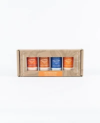 Alchemy Spice Grill & Barbecue Spice Blend Collection Gift Set, 4 Piece