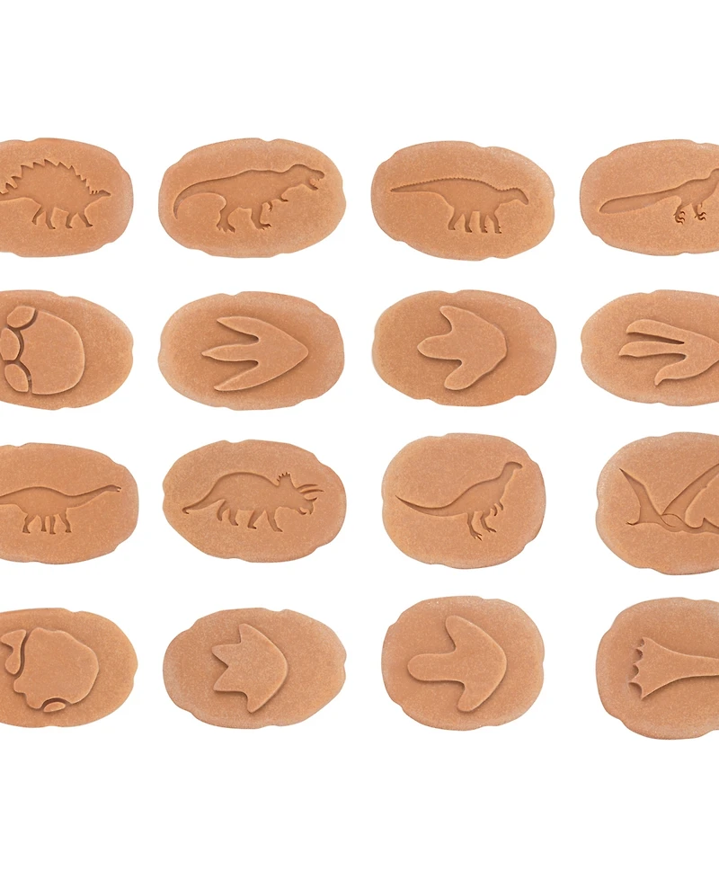 Yellow Door Let's Investigate Dinosaur Footprints, Set of 8
