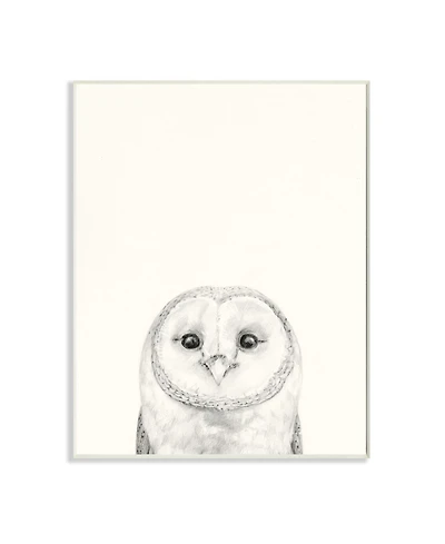 Stupell Industries Owl Portrait Gray Drawing Design Art, 13" x 19"