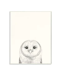 Stupell Industries Owl Portrait Gray Drawing Design Art, 13" x 19"
